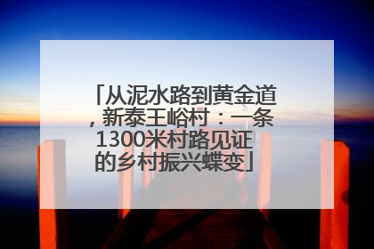 从泥水路到黄金道，新泰王峪村：一条1300米村路见证的乡村振兴蝶变