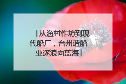 从渔村作坊到现代船厂，台州造船业逐浪向蓝海
