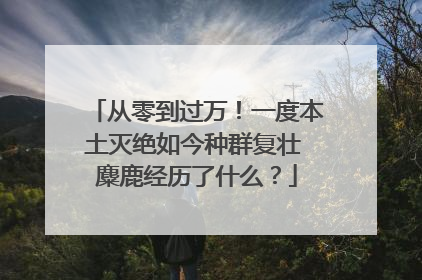 从零到过万！一度本土灭绝如今种群复壮 麋鹿经历了什么？