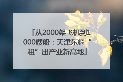 从2000架飞机到1000艘船：天津东疆“租”出产业新高地