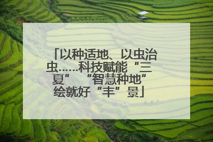 以种适地、以虫治虫……科技赋能“三夏” “智慧种地”绘就好“丰”景