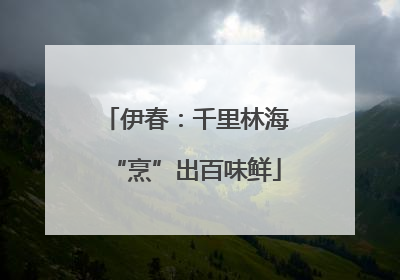 伊春：千里林海“烹”出百味鲜