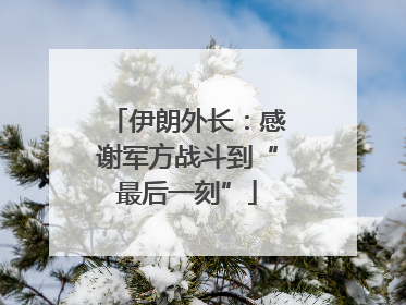 伊朗外长：感谢军方战斗到“最后一刻”