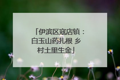 伊滨区寇店镇：白玉山药扎根 乡村土里生金