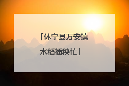 休宁县万安镇水稻插秧忙