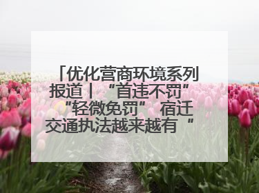 优化营商环境系列报道丨“首违不罚”“轻微免罚” 宿迁交通执法越来越有“人情味”