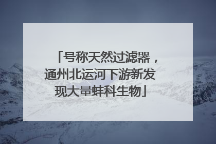 号称天然过滤器，通州北运河下游新发现大量蚌科生物