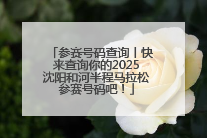 参赛号码查询丨快来查询你的2025沈阳和河半程马拉松参赛号码吧！