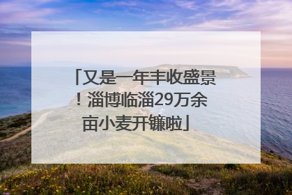 又是一年丰收盛景！淄博临淄29万余亩小麦开镰啦