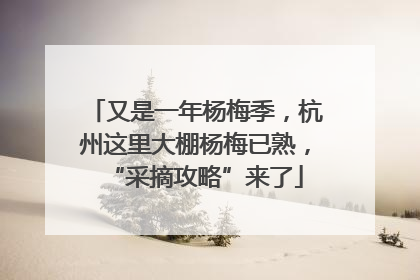 又是一年杨梅季，杭州这里大棚杨梅已熟，“采摘攻略”来了