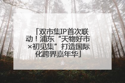 双市集IP首次联动！浦东“天物好市×初见集”打造国际化跨界嘉年华
