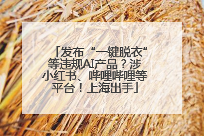 发布“一键脱衣”等违规AI产品？涉小红书、哔哩哔哩等平台！上海出手