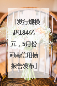 发行规模超184亿元，5月份河南信用债报告发布