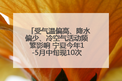 受气温偏高、降水偏少、冷空气活动频繁影响 宁夏今年1-5月中旬现10次定级沙尘天气过程
