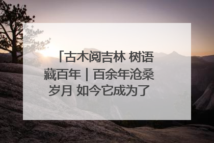 古木阅吉林 树语藏百年｜百余年沧桑岁月 如今它成为了“镇园之宝”