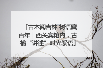 古木阅吉林 树语藏百年｜西关宾馆内，古榆“讲述”时光絮语