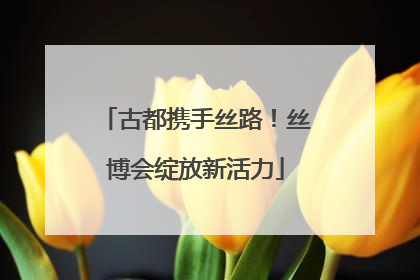 古都携手丝路！丝博会绽放新活力