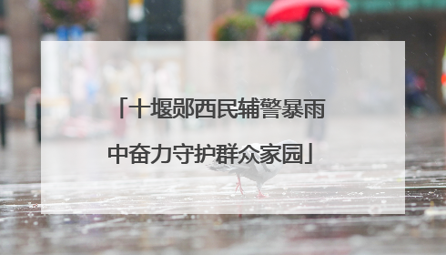十堰郧西民辅警暴雨中奋力守护群众家园