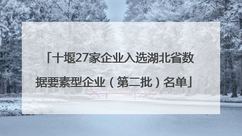 十堰27家企业入选湖北省数据要素型企业（第二批）名单