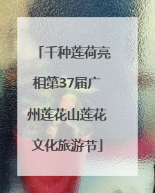千种莲荷亮相第37届广州莲花山莲花文化旅游节