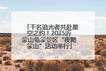 千名追光者共赴星空之约！2025沂蒙山龟蒙景区“夜爬蒙山”活动举行