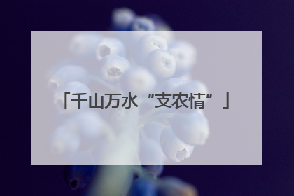 千山万水“支农情”