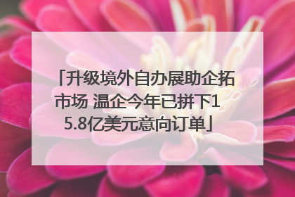 升级境外自办展助企拓市场 温企今年已拼下15.8亿美元意向订单