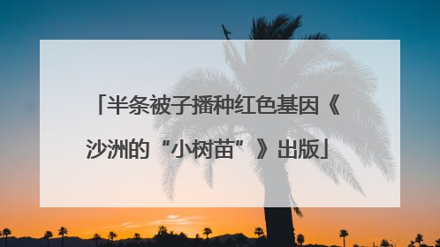 半条被子播种红色基因《沙洲的“小树苗”》出版