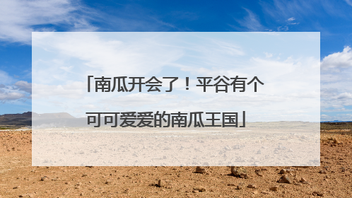 南瓜开会了！平谷有个可可爱爱的南瓜王国