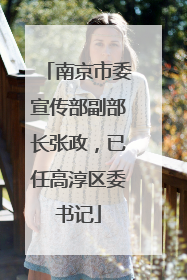 南京市委宣传部副部长张政，已任高淳区委书记
