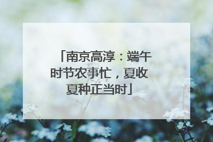 南京高淳：端午时节农事忙，夏收夏种正当时