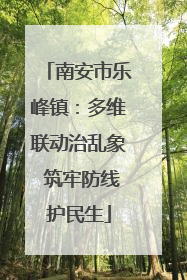 南安市乐峰镇：多维联动治乱象 筑牢防线护民生