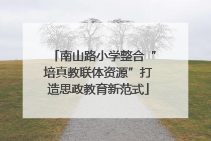 南山路小学整合“培真教联体资源”打造思政教育新范式