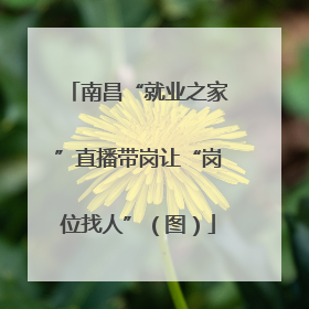 南昌“就业之家”直播带岗让“岗位找人”（图）