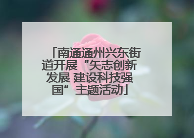 南通通州兴东街道开展“矢志创新发展 建设科技强国”主题活动