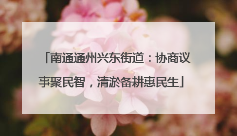 南通通州兴东街道：协商议事聚民智，清淤备耕惠民生