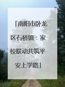 南阳市卧龙区石桥镇：家校联动共筑平安上学路