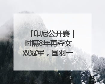 印尼公开赛｜时隔8年再夺女双冠军，国羽一金一银收官