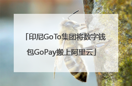 印尼GoTo集团将数字钱包GoPay搬上阿里云