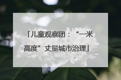 儿童观察团：“一米高度”丈量城市治理