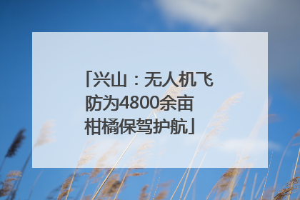 兴山：无人机飞防为4800余亩柑橘保驾护航