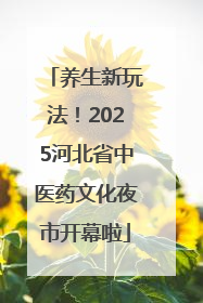 养生新玩法！2025河北省中医药文化夜市开幕啦