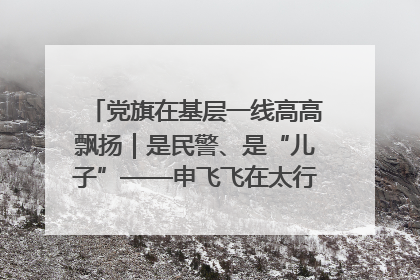 党旗在基层一线高高飘扬｜是民警、是“儿子”——申飞飞在太行山中的一线坚守