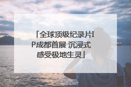 全球顶级纪录片IP成都首展 沉浸式感受极地生灵