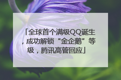 全球首个满级QQ诞生，成功解锁“金企鹅”等级，腾讯高管回应