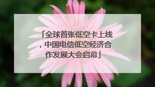 全球首张低空卡上线，中国电信低空经济合作发展大会启幕