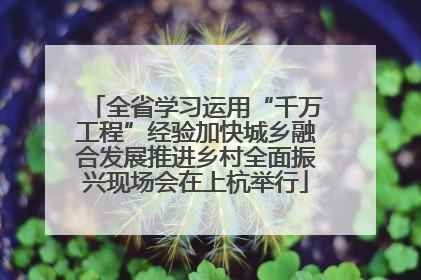 全省学习运用“千万工程”经验加快城乡融合发展推进乡村全面振兴现场会在上杭举行