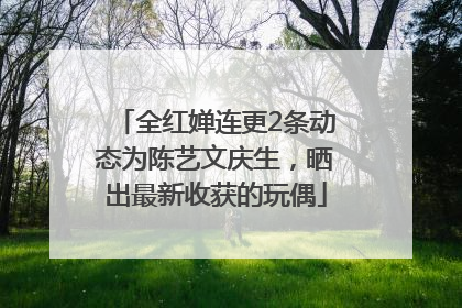 全红婵连更2条动态为陈艺文庆生，晒出最新收获的玩偶