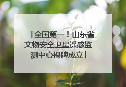 全国第一！山东省文物安全卫星遥感监测中心揭牌成立