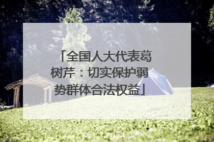 全国人大代表葛树芹：切实保护弱势群体合法权益